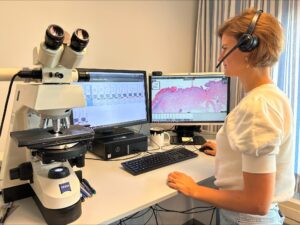 digitale pathologie